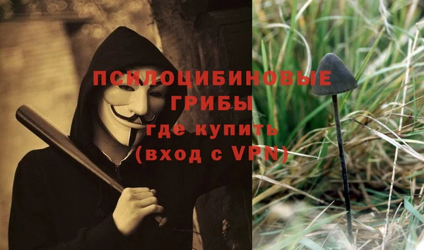 каннабис Белокуриха