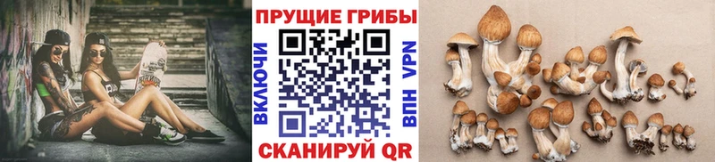 Купить где  Донецк  Псилоцибиновые грибы ЛСД 