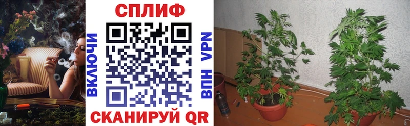 Купить закладки  Донецк  Шишки марихуана тримм 